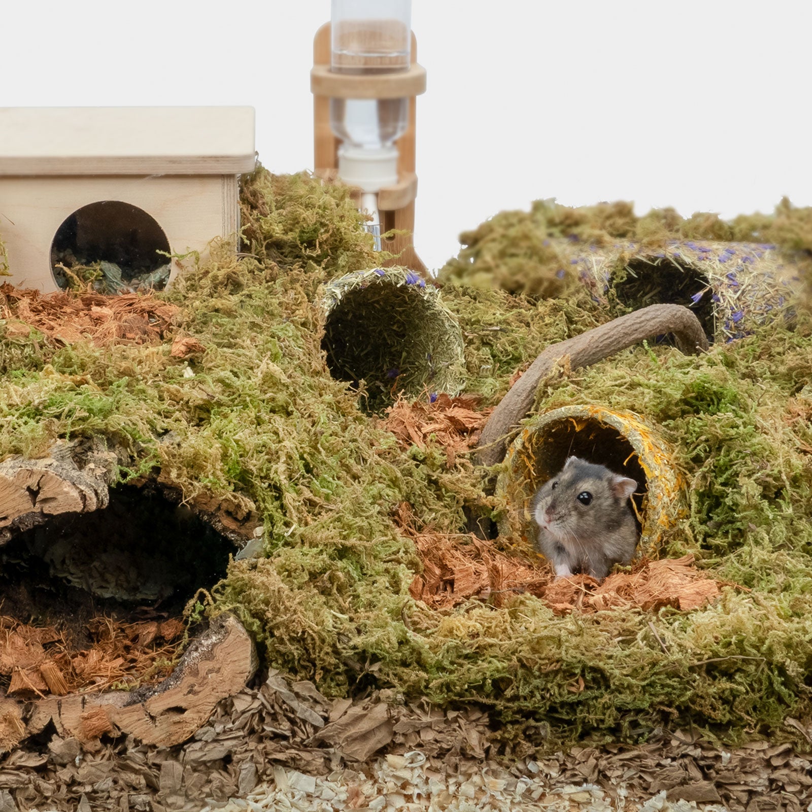 Natural Paper Tube with Dried Herbs and Flowers for Hamsters - Niteangel Pet CA