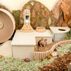 Niteangel Birch Chamber-Maze Hamster Hideout - Small Pets Woodland House Habitats Decor - Niteangel Pet CA