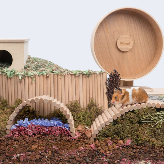 Niteangel Hamster Climbing Ladder Beech Bendy Bridge for Small Animals - Niteangel Pet CA