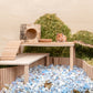 Niteangel Hamster Play Wooden Platform - Niteangel Pet CA