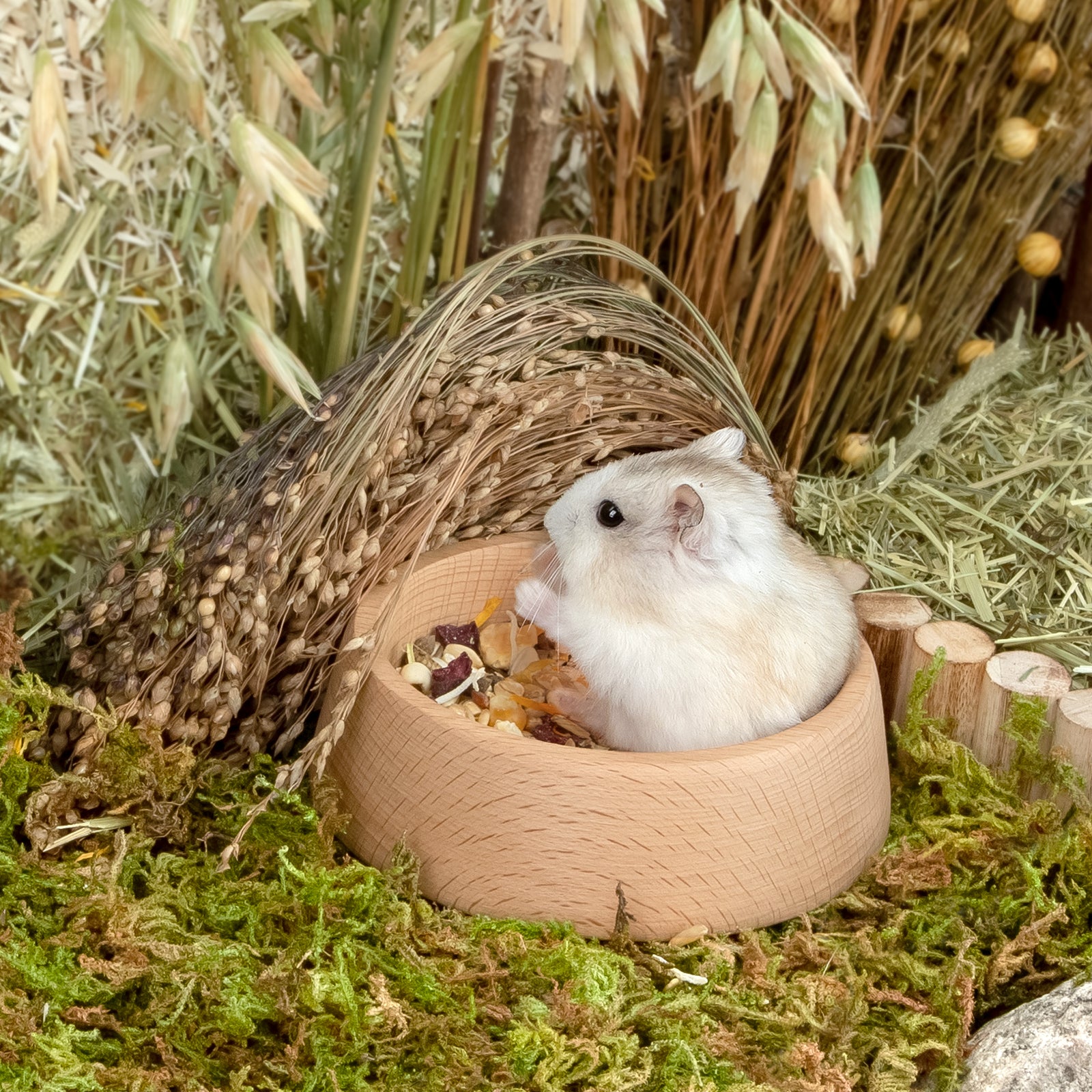 Niteangel Wooden Hamster Feeding Bowl - Small Animal Food Dish - Niteangel Pet CA