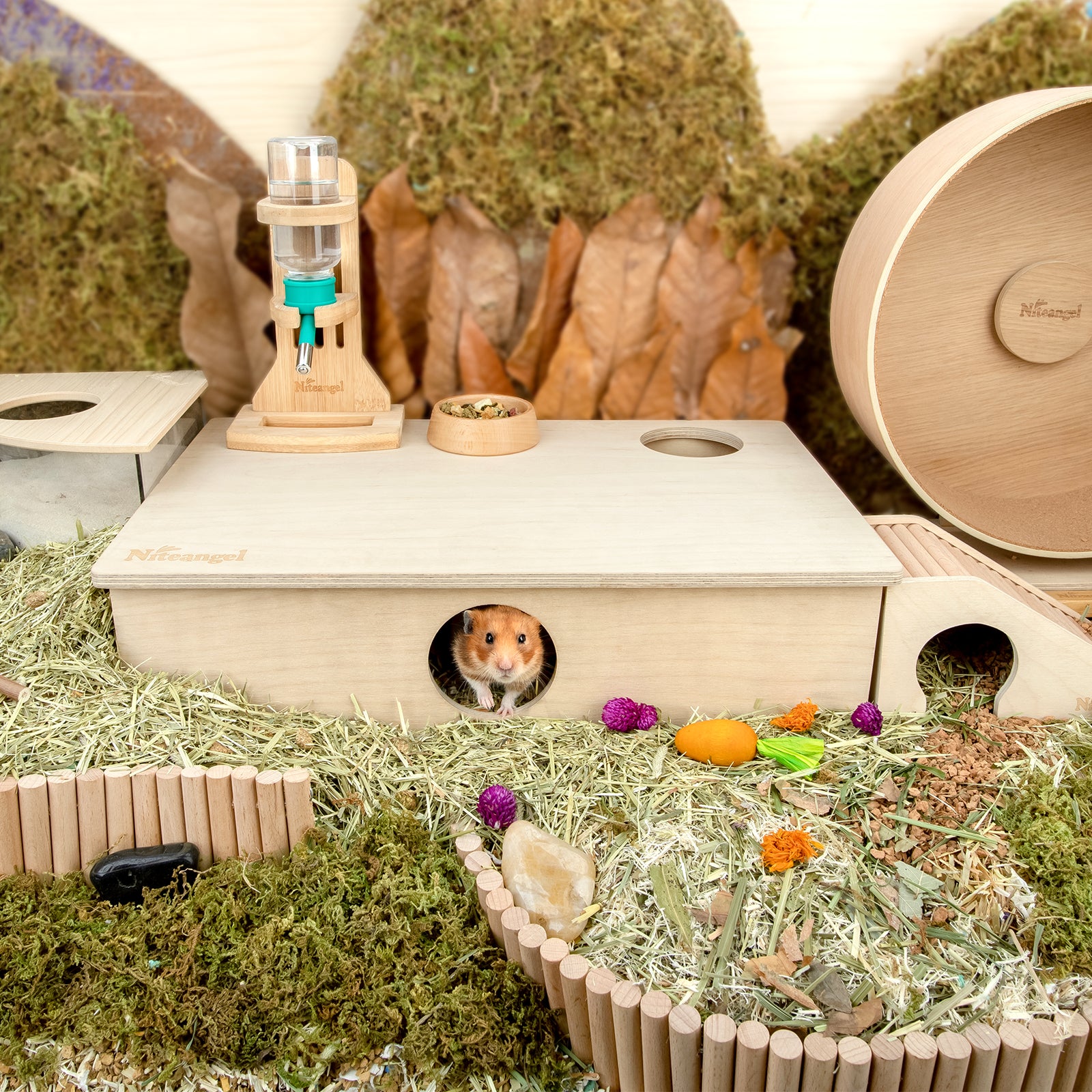 Niteangel Multi-Chamber Hamster House Maze: Multi-Room Hideouts & Tunnel Exploring Toys〔6-Room〕 - Niteangel Pet CA
