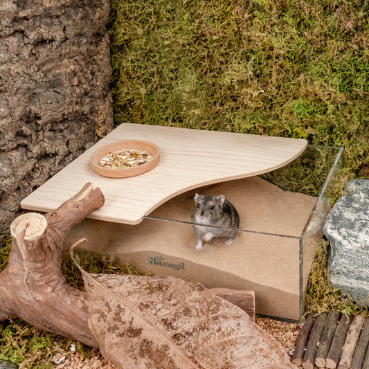 Niteangel Small Animal Sand-Bath Box - Acrylic Critter's Sand Bath Shower Room & Digging Sand Container〔Rectangle〕 - Niteangel Pet CA