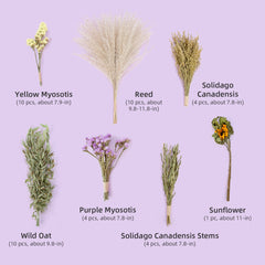 Niteangel harvest wind dried flowers and sprays for hamsters gerbils mice - Niteangel Pet CA