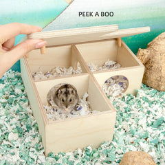 Niteangel Birch Chamber-Maze Hamster Hideout - Small Pets Woodland House Habitats Decor - Niteangel Pet CA