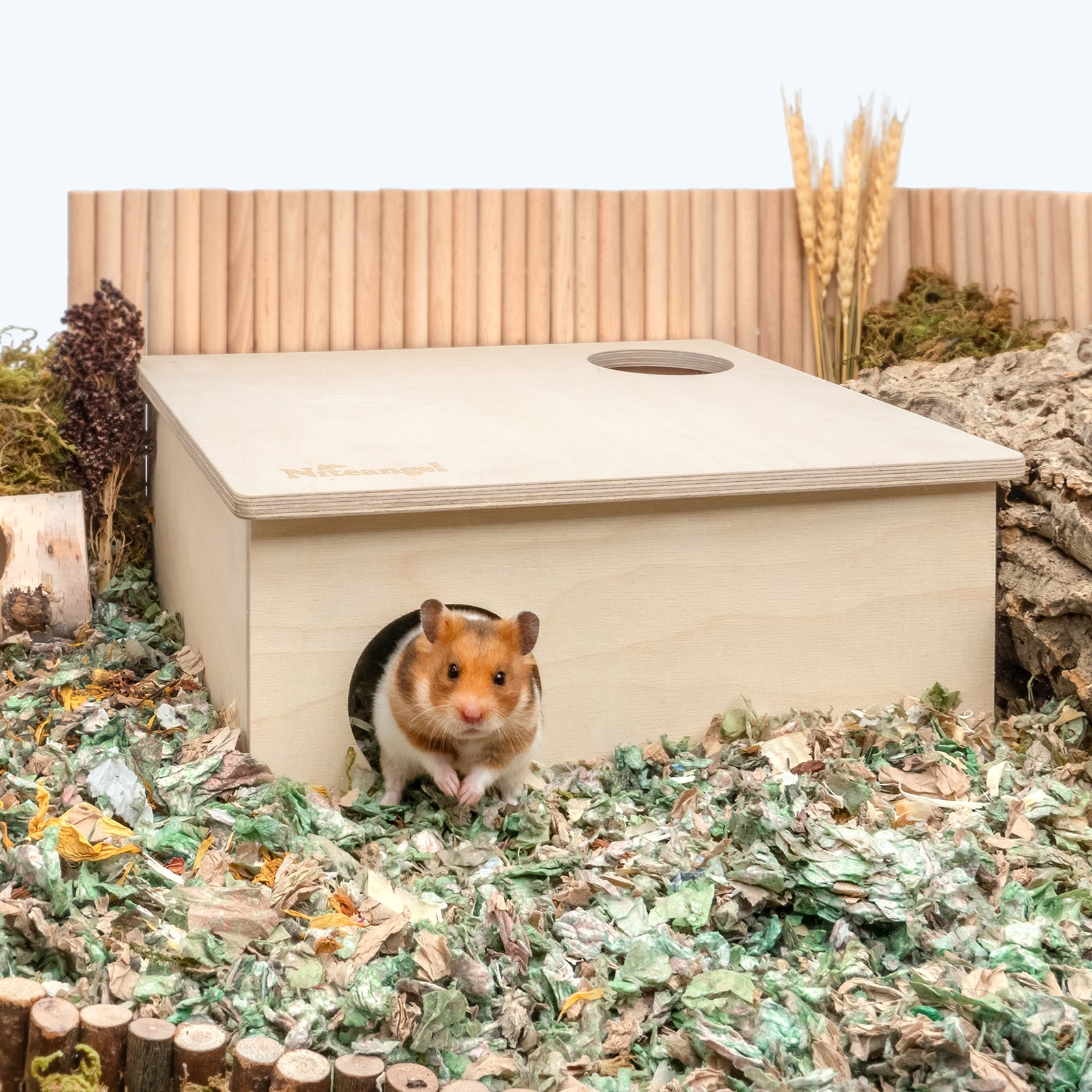 Niteangel 3-Chamber Hideout For Hamsters & Mice - Niteangel Pet CA