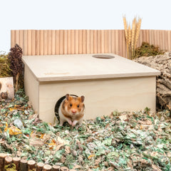 Niteangel 3-Chamber Hideout For Hamsters & Mice - Niteangel Pet CA