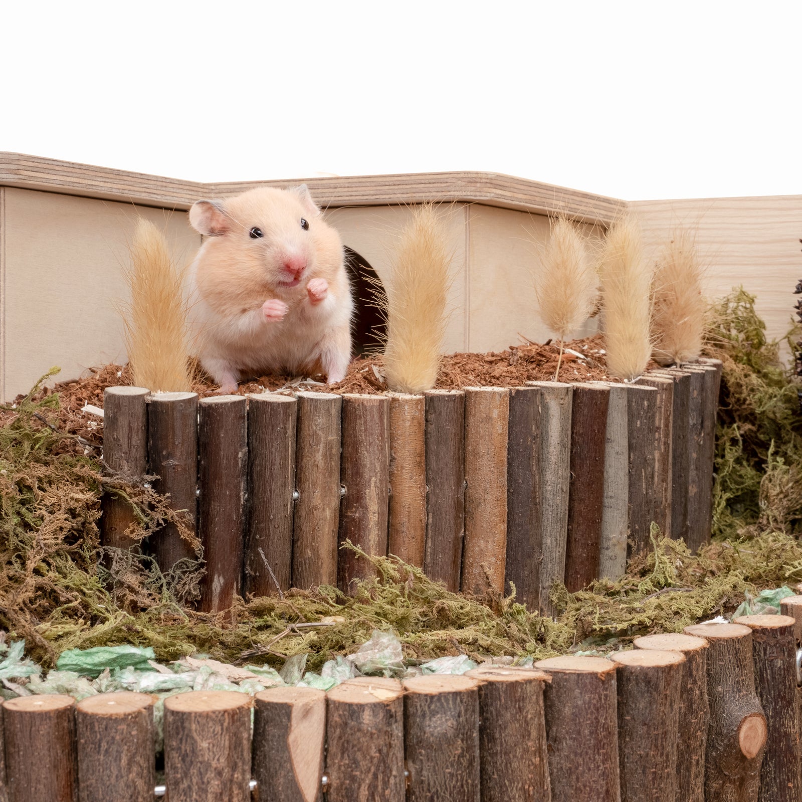 Niteangel Wooden Ladder Bridge, Hamster Mouse Rat Rodents Toy, Small Animal Chew Toy - Niteangel Pet CA