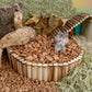 Niteangel Coco Peat & Chips Dry Digging & Burrowing Base for Rodent Pets - Niteangel Pet CA