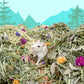 Niteangel Natural & Soft Hamster Bedding〔Forest Floor Series〕 - Niteangel Pet CA
