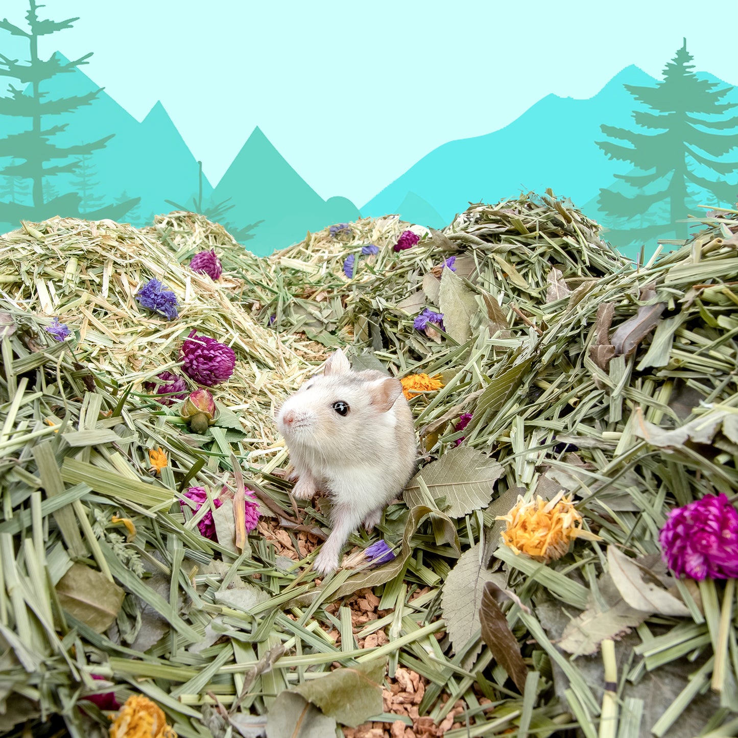 Niteangel Natural & Soft Hamster Bedding〔Forest Floor Series〕 - Niteangel Pet CA