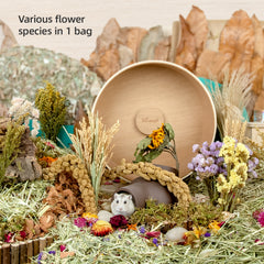 Niteangel harvest wind dried flowers and sprays for hamsters gerbils mice - Niteangel Pet CA