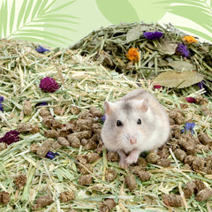 Niteangel Natural & Soft Hamster Bedding〔Forest Floor Series〕 - Niteangel Pet CA