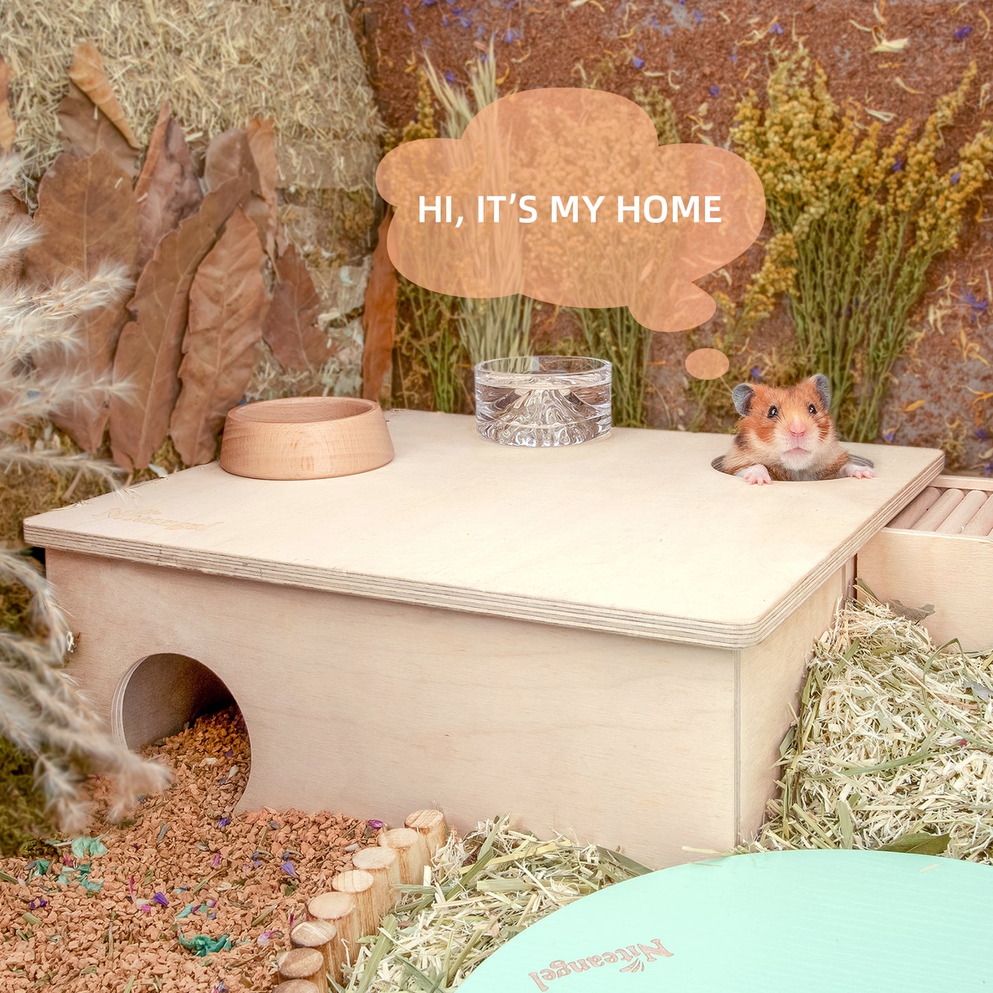 Niteangel 3-Chamber Hideout For Hamsters & Mice - Niteangel Pet CA
