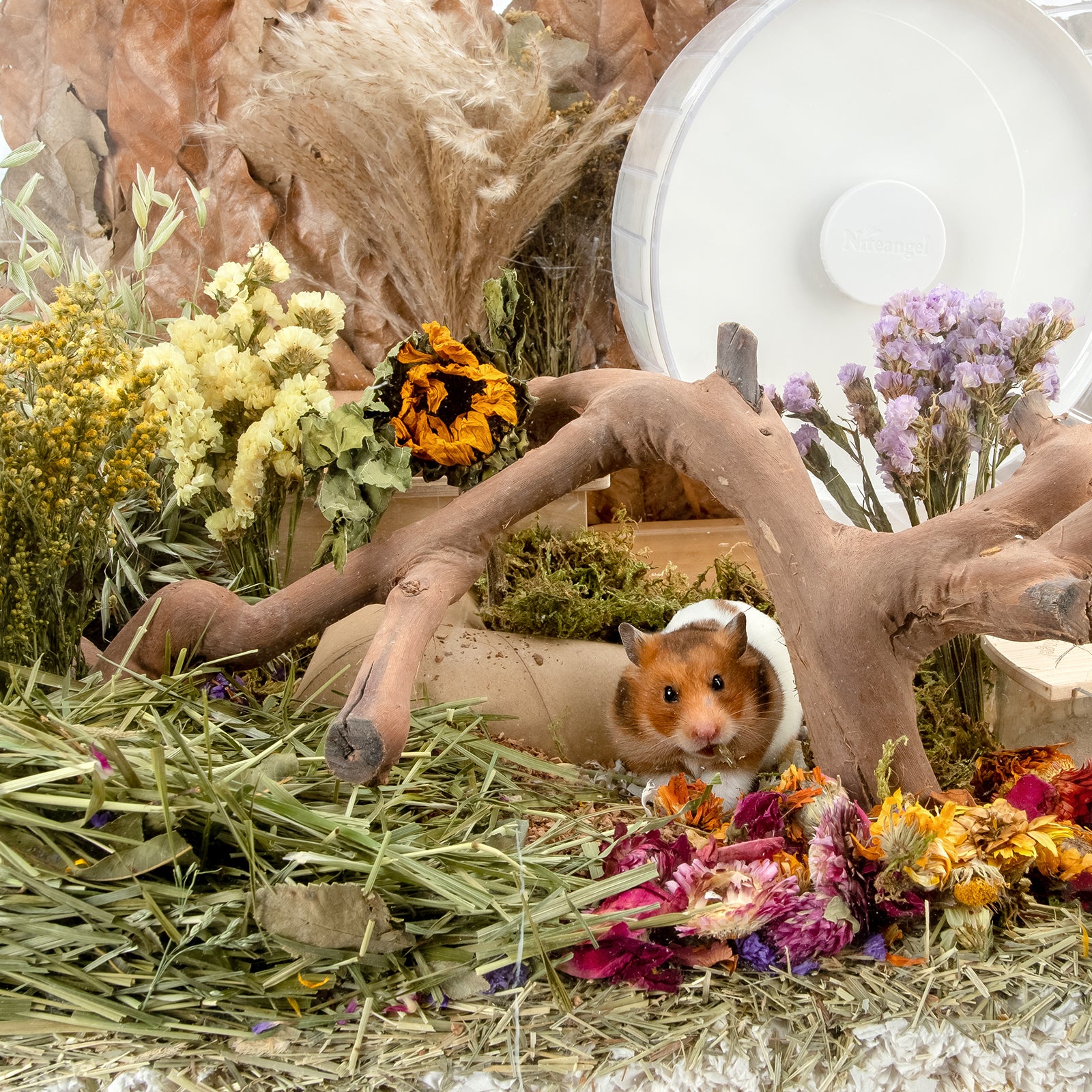 Niteangel harvest wind dried flowers and sprays for hamsters gerbils mice - Niteangel Pet CA