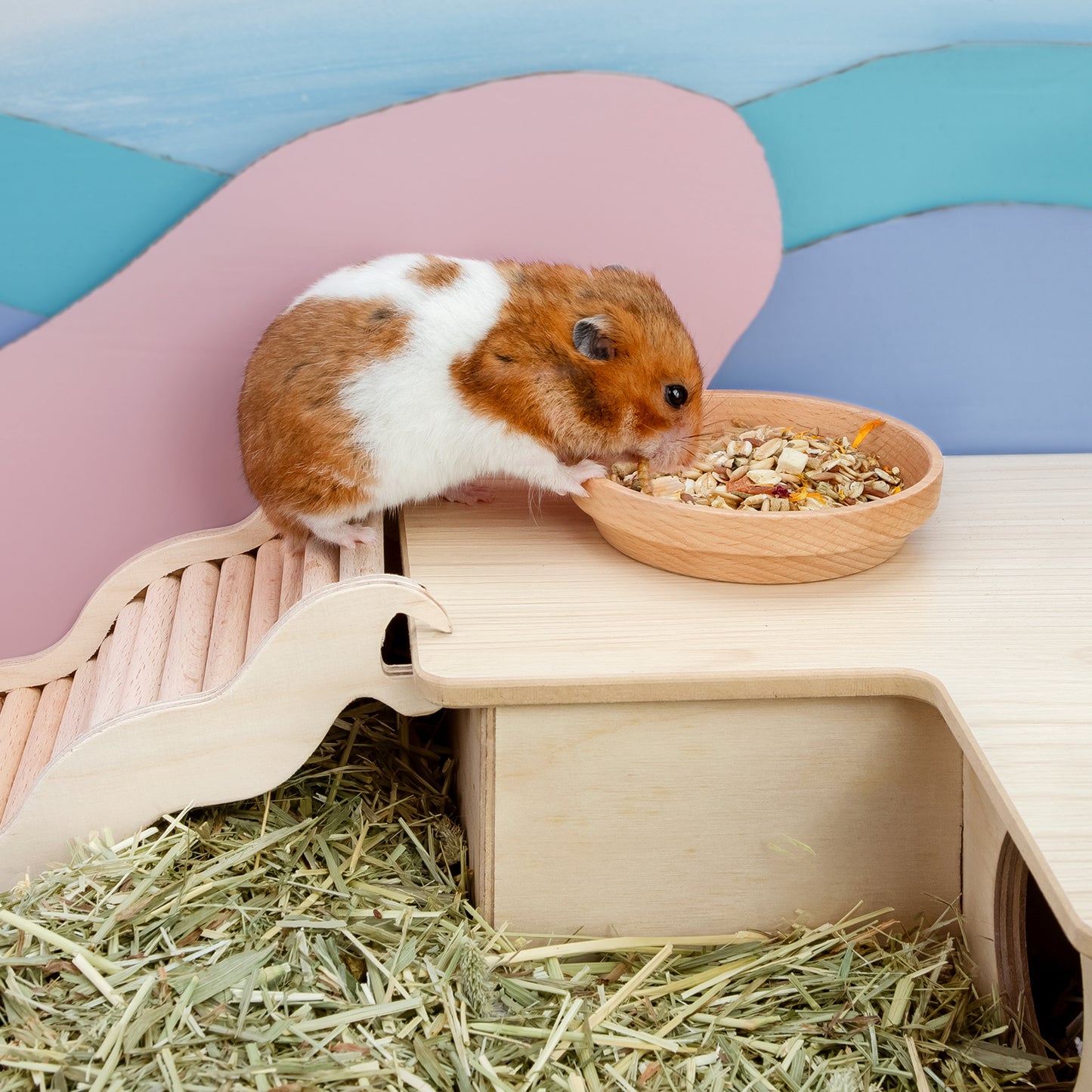 Niteangel Wooden Hamster Feeding Bowl - Small Animal Food Dish - Niteangel Pet CA