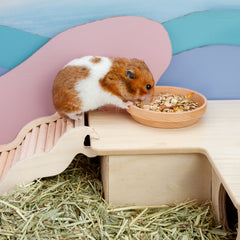 Niteangel Wooden Hamster Feeding Bowl - Small Animal Food Dish - Niteangel Pet CA