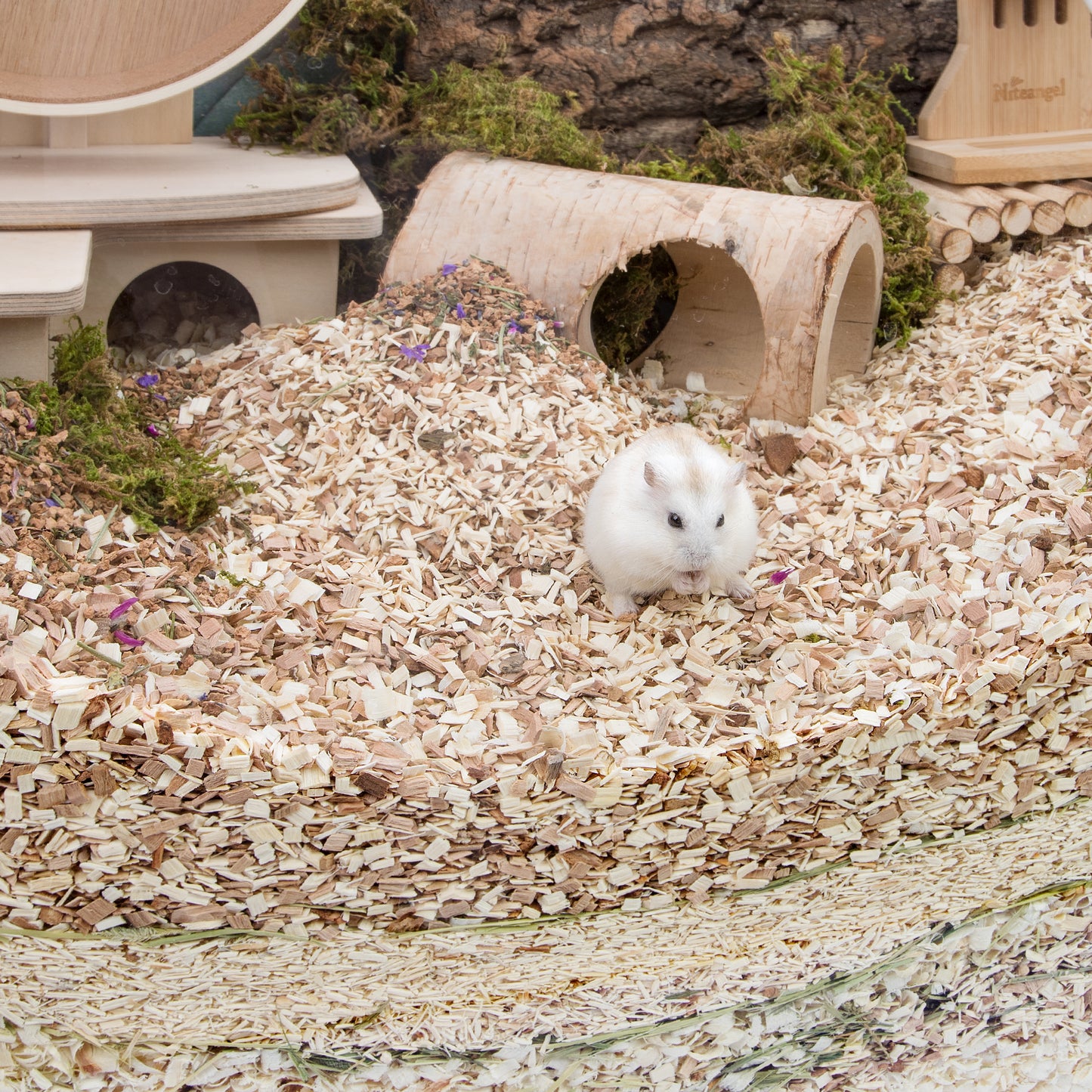 Niteangel Natural & Soft Hamster Bedding2.0 - Niteangel Pet CA